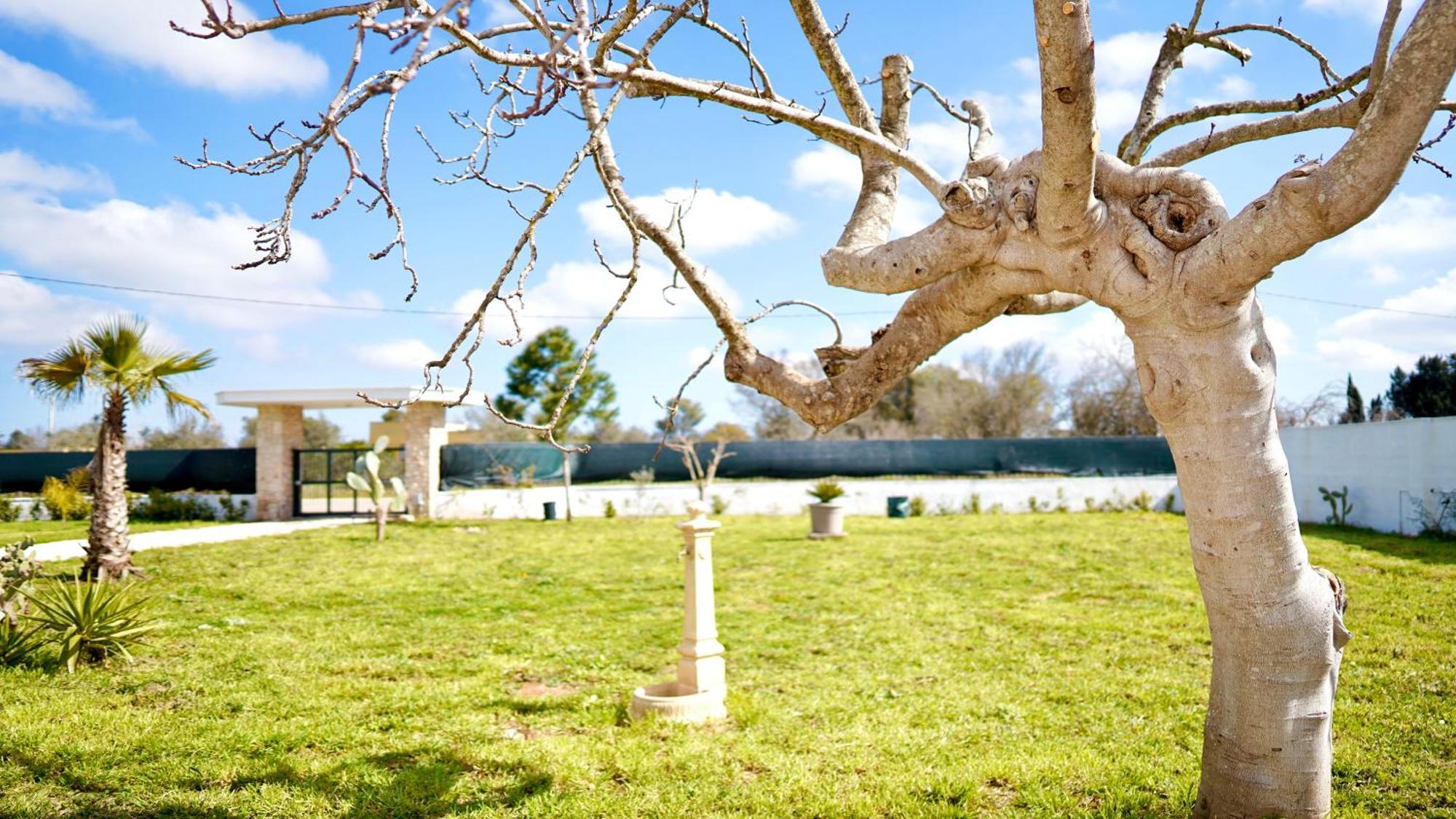 Villa Mia San Ligorio 外观 照片