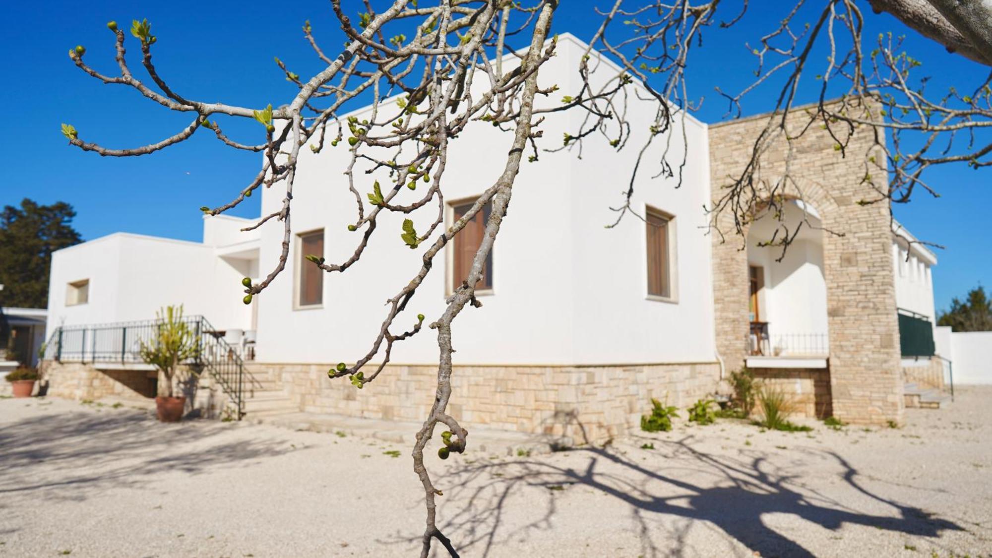 Villa Mia San Ligorio 外观 照片